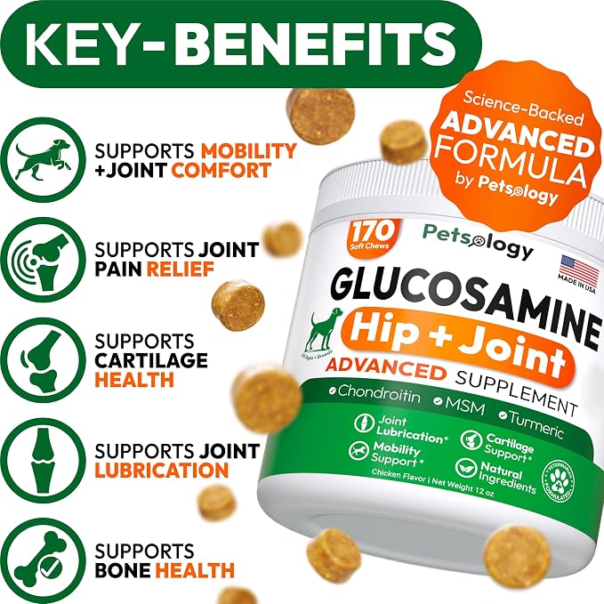 Glucosamine Chews