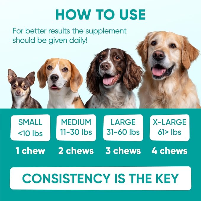 Calming Chews