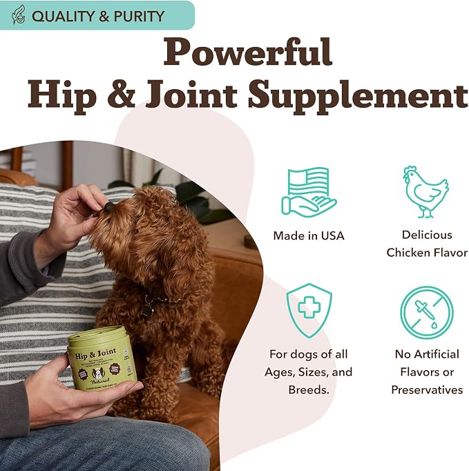 Hip and Joint