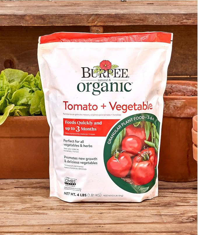 Tomato & Vegetable