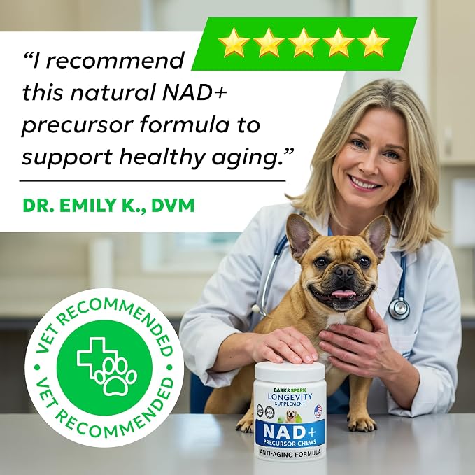 Longevity NAD+