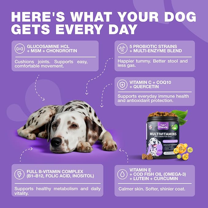 Multivitamin Chews for Dogs