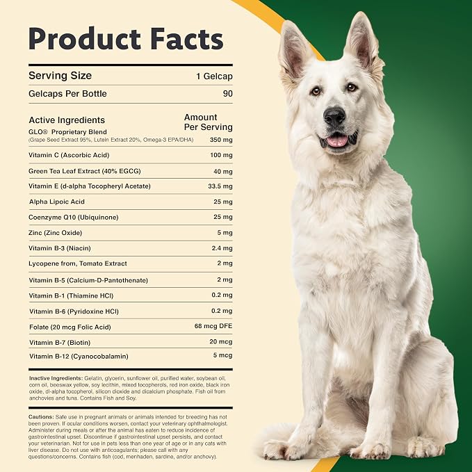 Medium to Large Dogs (11+ lbs)