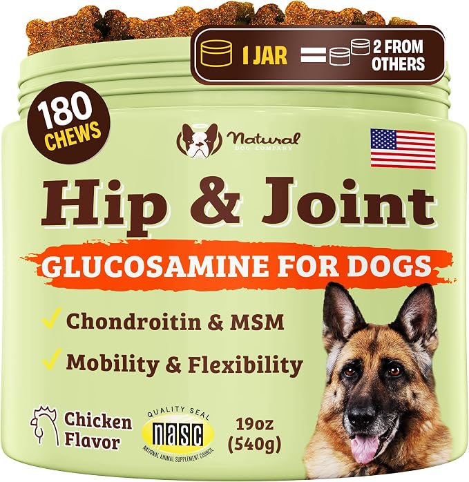 Hip and Joint