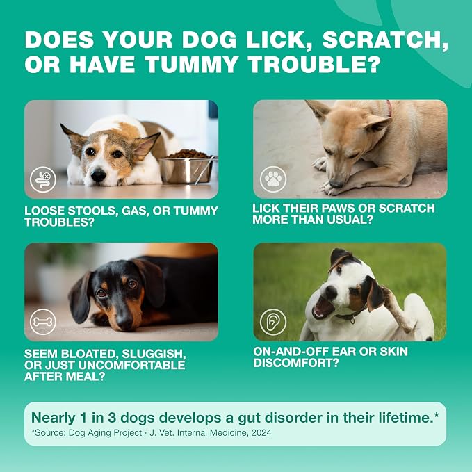 Probiotic Chews