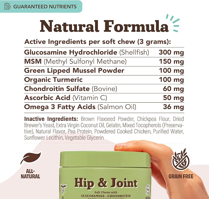 Hip and Joint