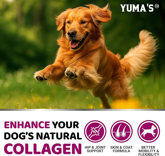 Collagen Chews