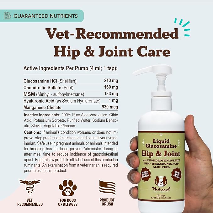 Hip and Joint
