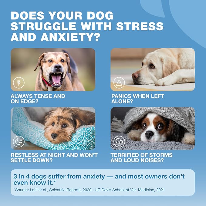 Duck Flavor Calming Chews
