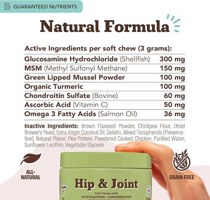 Hip and Joint