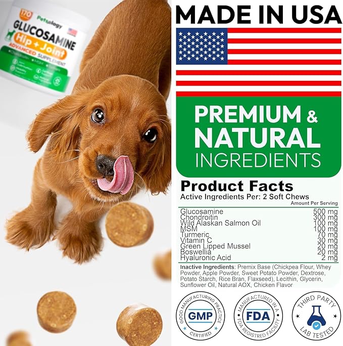 Glucosamine Chews