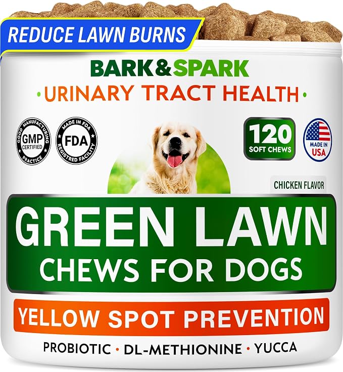 Green Grass