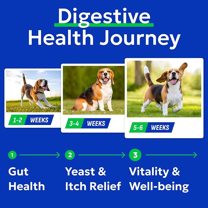 Probiotic Chews
