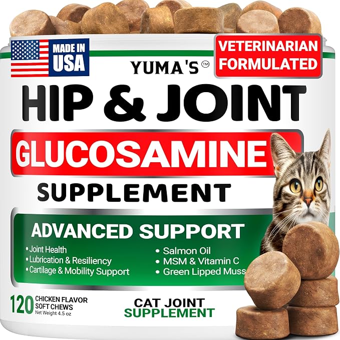 Cat Hip & Joint