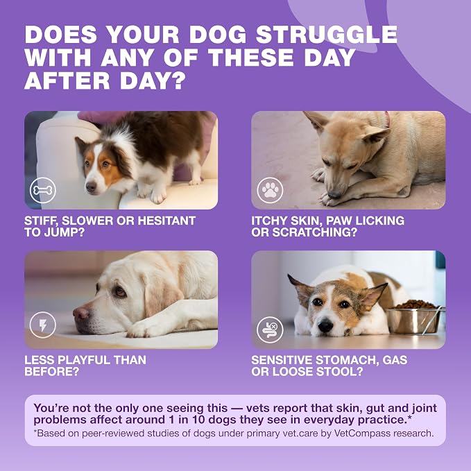 Multivitamin Chews for Dogs