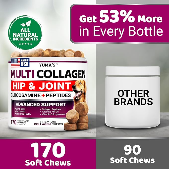 Collagen Chews