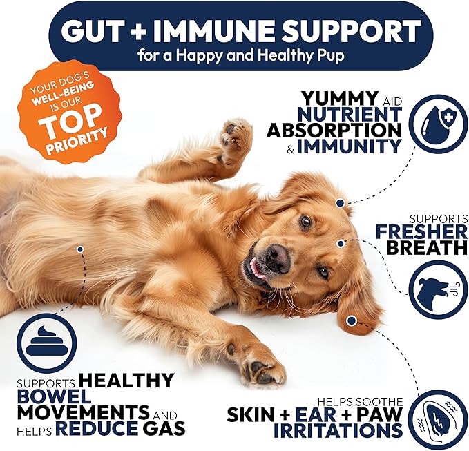 Probiotic Chews