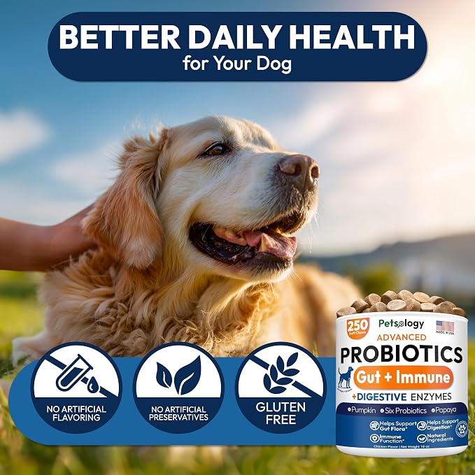 Probiotic Chews