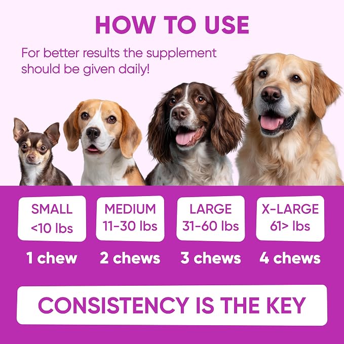 Allergy Support Chews