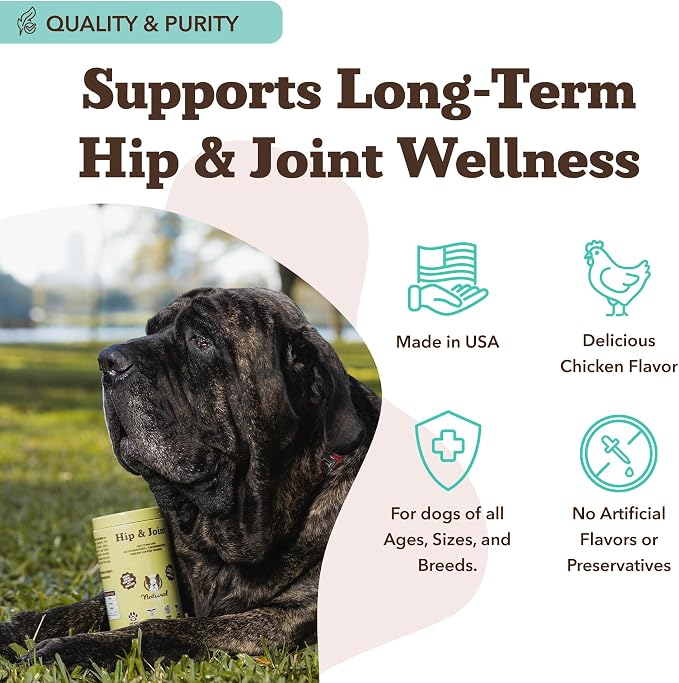 Hip and Joint
