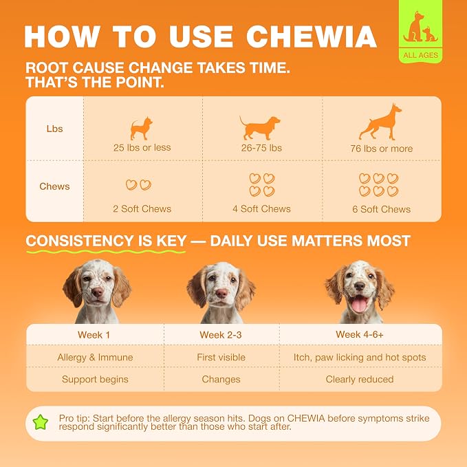 Allergy Support Chews