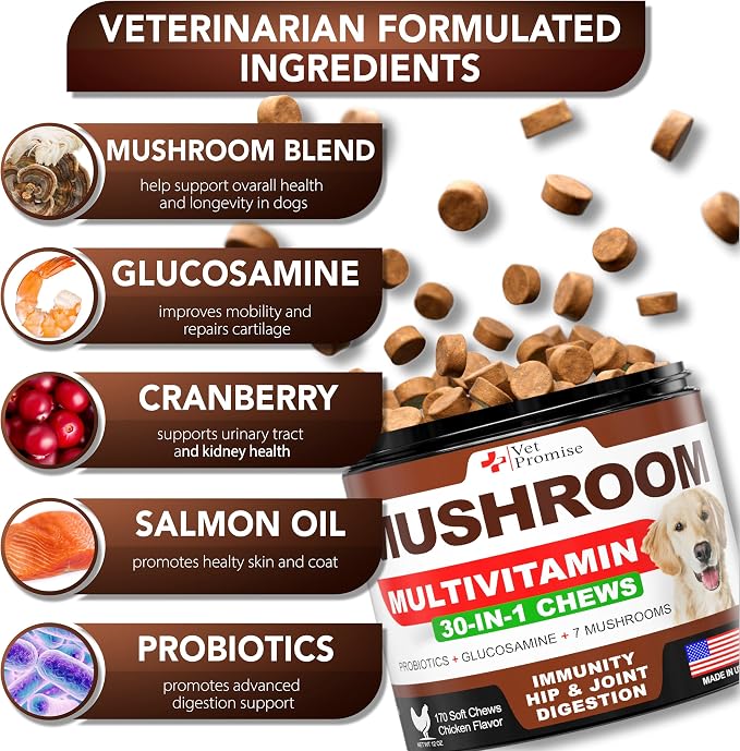 Mushroom Chews