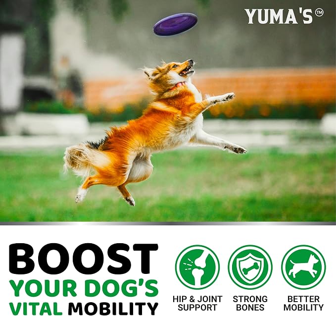 Glucosamine Chews