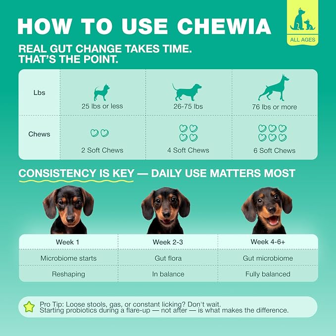 Probiotic Chews