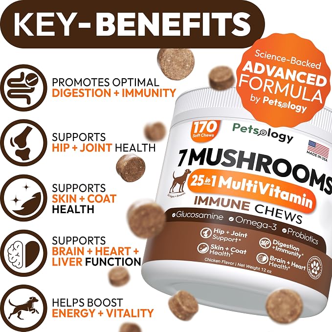 Mushroom Multivitamin