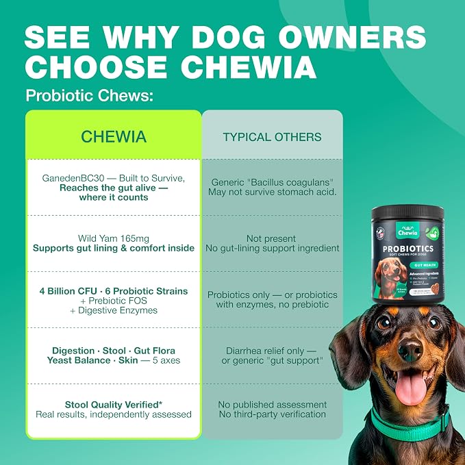 Probiotic Chews
