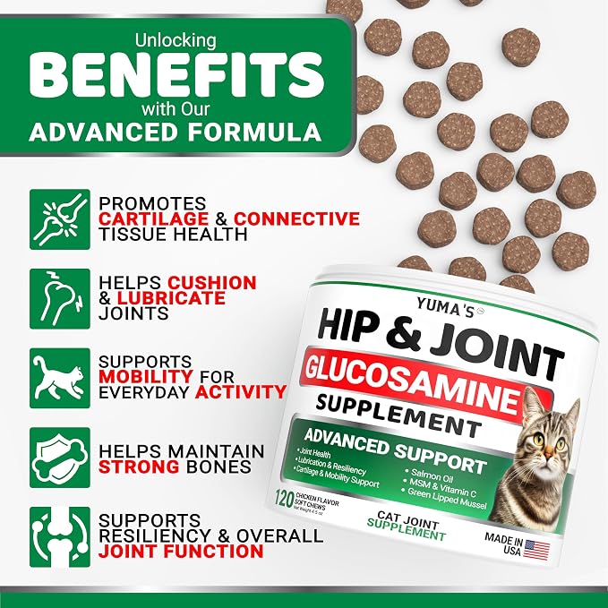 Cat Hip & Joint