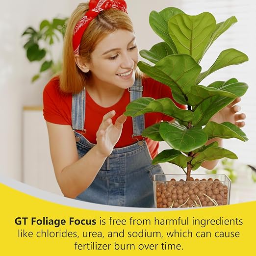 Foliage