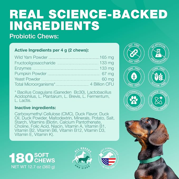 Probiotic Chews