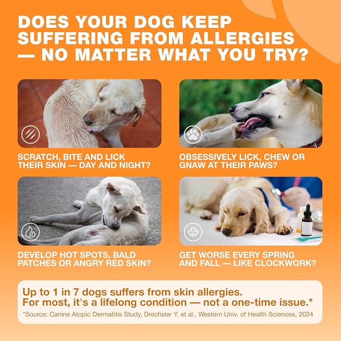 Allergy Support Chews