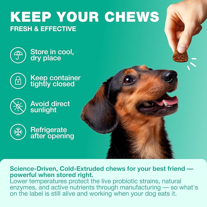 Probiotic Chews