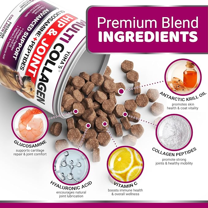 Collagen Chews