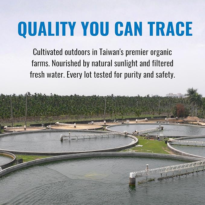 Organic Chlorella