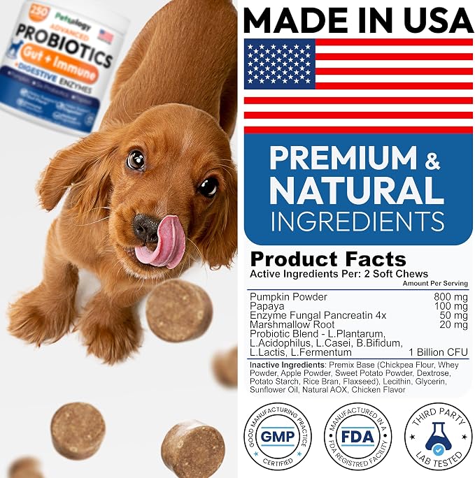 Probiotic Chews