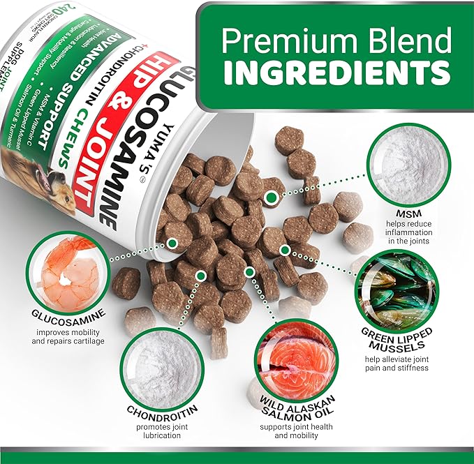 Glucosamine Chews