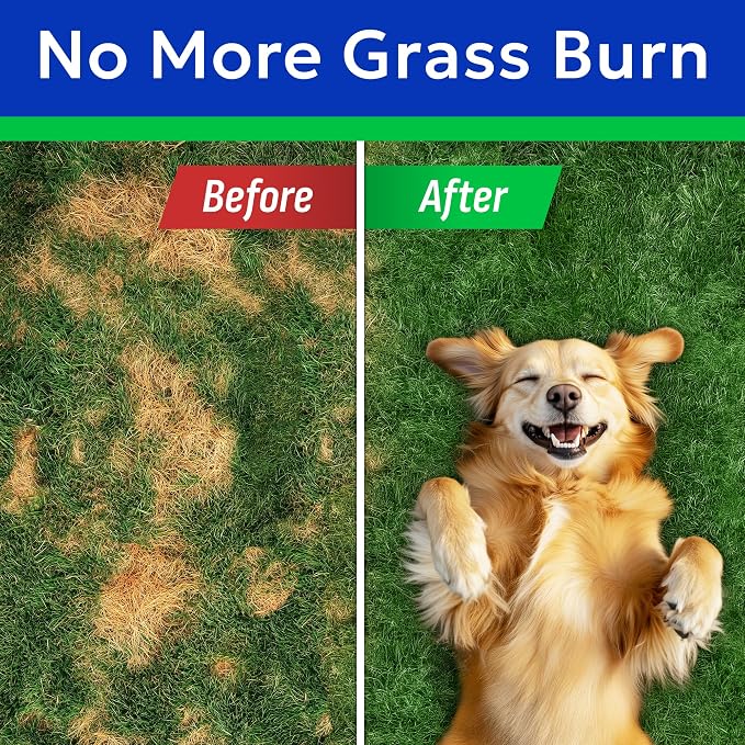 Green Grass