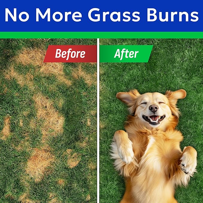Green Grass